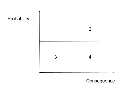 Which quadrant should be the focus of risk management?